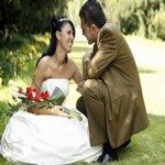 979435_wedding_colection