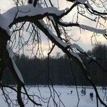 1271641_cold_winter_afternoon