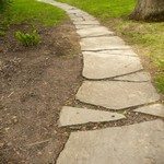 1278407_where_the_path_goes