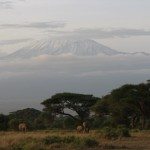 Kena4_kilimanjaro