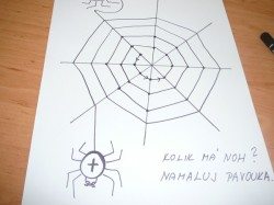 Tvorenicko_pavouci[3]