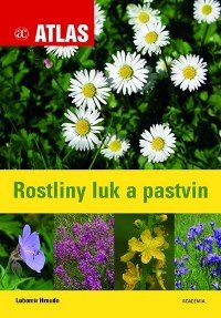 rostliny_luk_a_pastvin_nahled